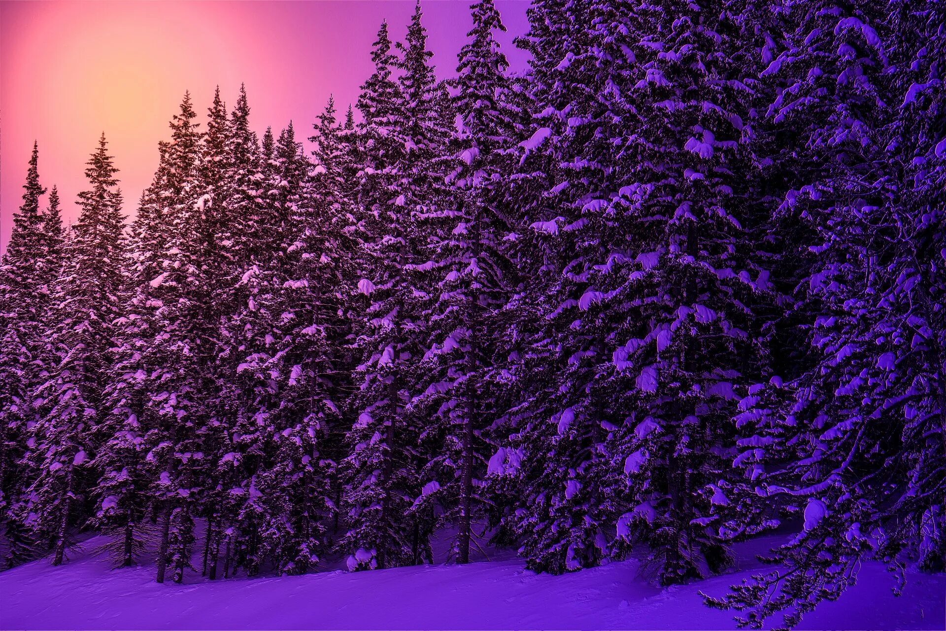 зима в сиреневых тонах. лиловая зима. фиолетовая природа. зимний пейзаж в фиолетовых тонах. пурпурный закат зимой.