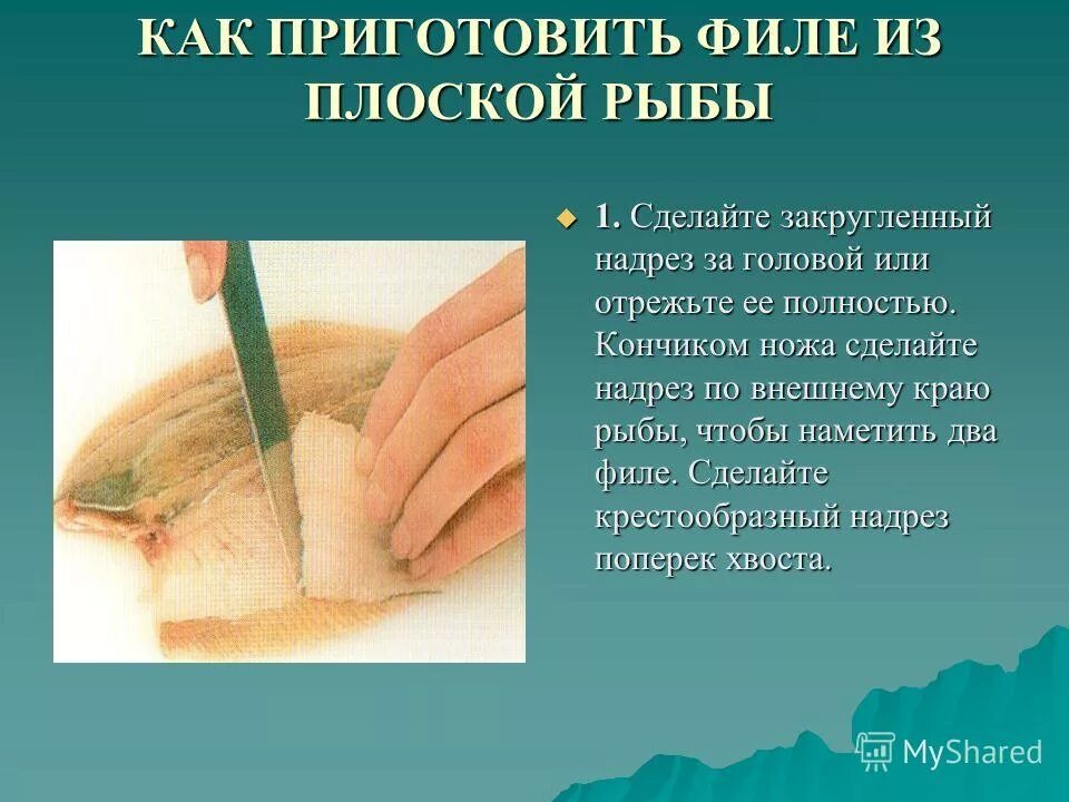 приготовление блюд из отварной рыбы. технология приготовления блюд из жареного мяса.