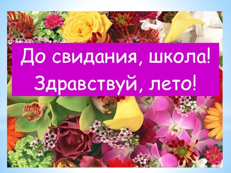 Досвидание лето Здравствуй школа. До свидания школа Здравствуй лето. Прощай Ле о, Здравствуй школа. Прощай начальная школа Здравствуй лето. До свидания школа здравствуй