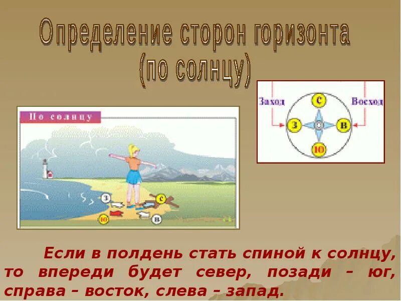 На какой стороне горизонта встает. Если в полдень стать спиной к солнцу. Если в полдень встать лицом к солнцу. Стороны горизонта в полдень. Солнце в полдень.