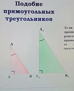 2 подобных прямоугольных треугольников