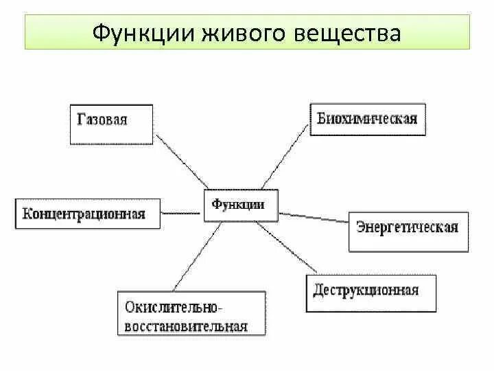 Какие функции выполняет живое вещество. Функции живого вещества биология 11 класс таблица. Функции живых организмов таблица. Экологические функции живого вещества. Функции живого вещества схема.