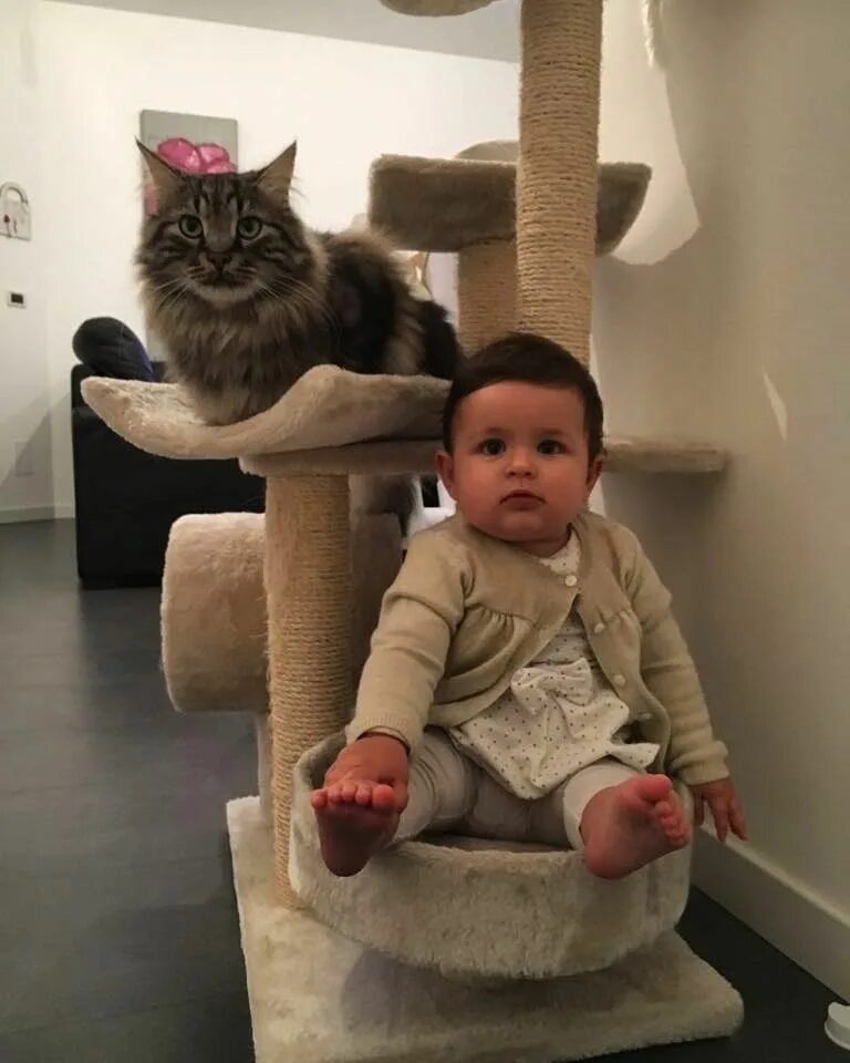 Животные. Коты и дети. Кошка нянька. Коты и дети. Коты и дети.