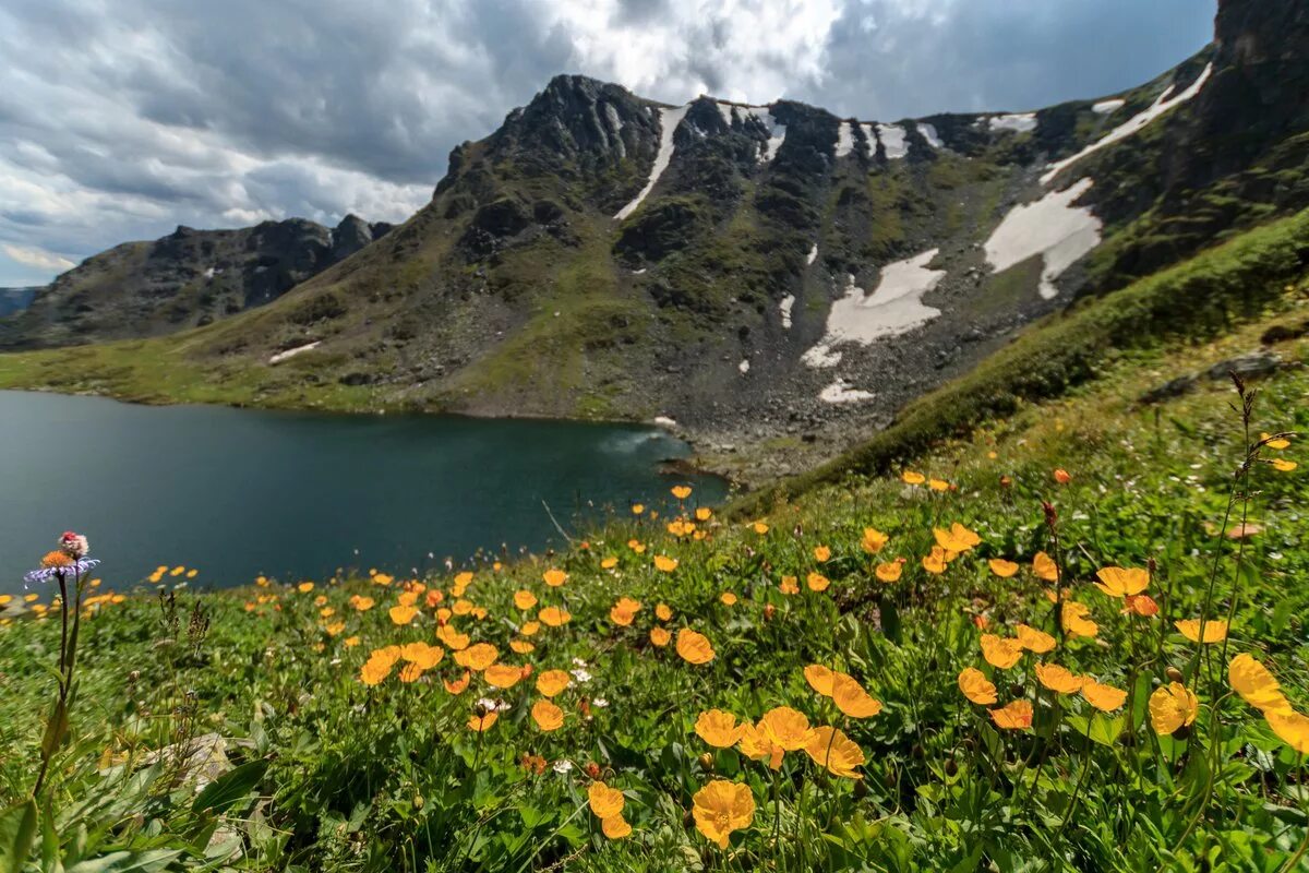 село чайное алтайский край чарышский район. село сентелек чарышский район. сваловка чарышского района алтайского края. село сентелек алтай чарышский. село тулата чарышский район алтайский край.
