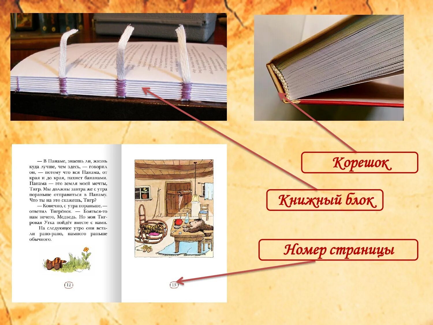 Книги стр 60. Где живут книги. Структура книги для детей. Строение книги.элементы книги. Строение книги 2 класс.