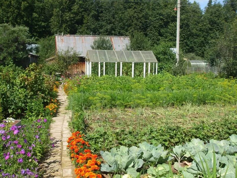 дача ижевск каталог