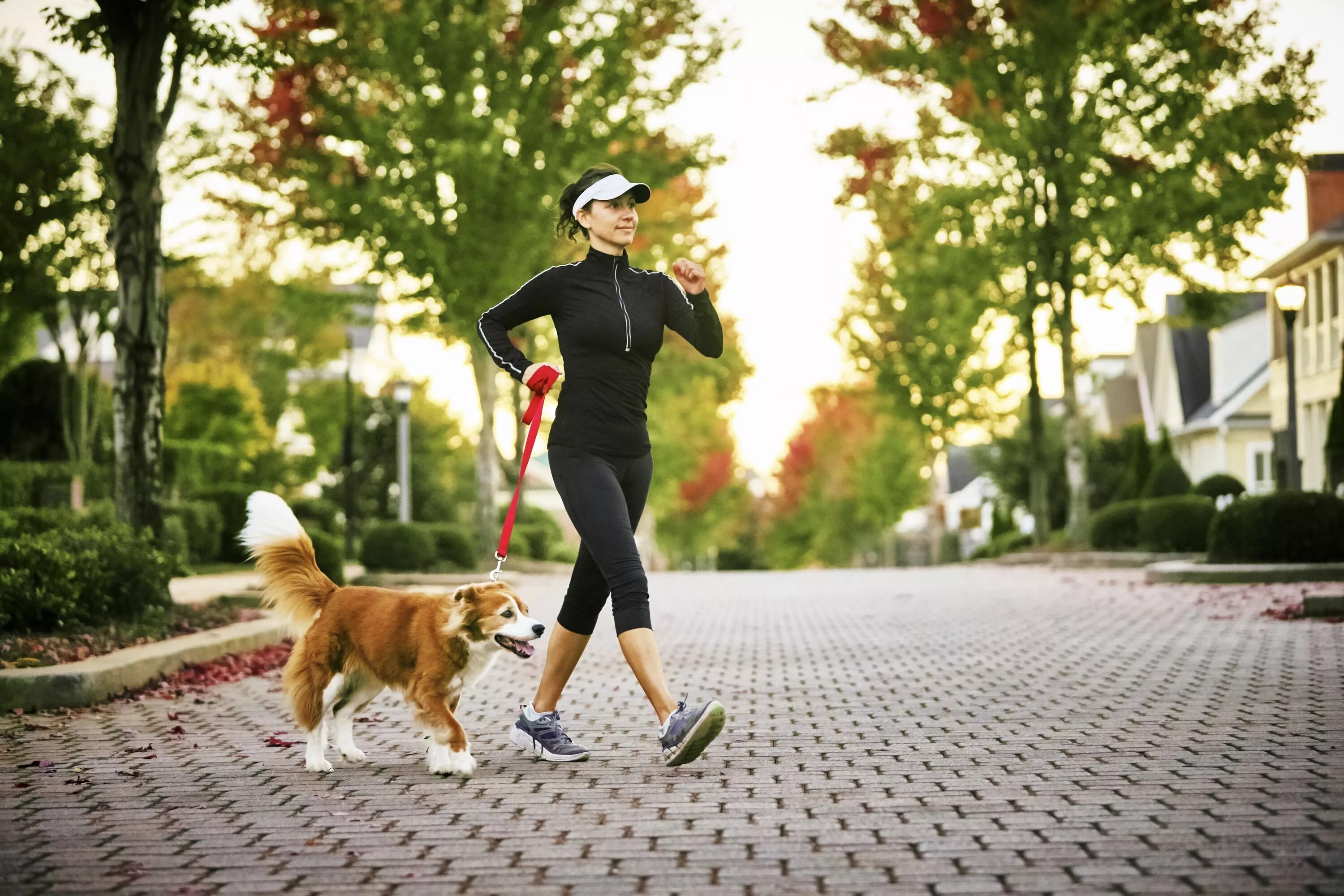 Get walk