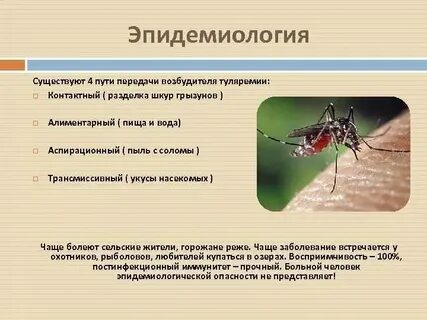 Человек переносчик инфекции