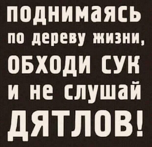 Я убью тебя тварь. Сук дерева. Двойные стандарты картинки смешные. Не руби сук на котором сидишь. Самка собаки прикол.