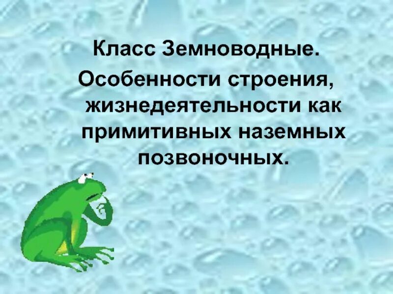 Главные особенности земноводных. Особенности земноводных. Земноводные особенности строения и жизнедеятельности. Земноводные особенности строения. Характеристика земноводных.