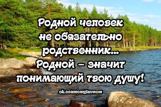 Родной человек не обязательно родственник. Родной человек не обязательно родственник родной значит. Родной человек не родной. Родные родственники.