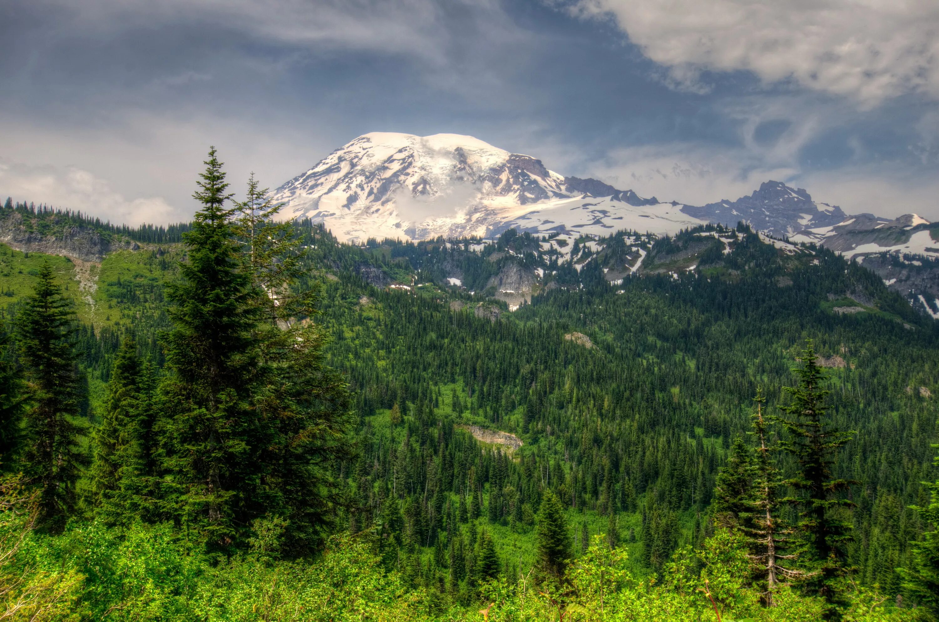 Северная америка больше россии. Гора Рейнир штат Вашингтон. Национальный парк Маунт-Рейнир, штат Вашингтон. Гора Рейнир Вашингтон США. Сиэтл гора Рейнир.