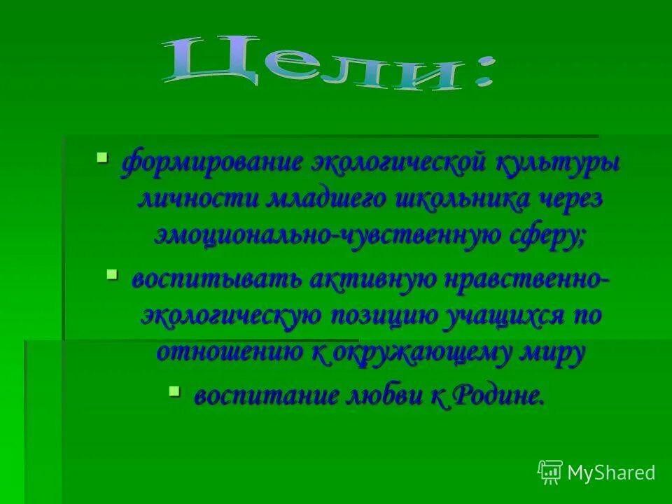 Окружающее позиция. Моя экологическая позиция. Сообщение разумная деятельность человека. Экологическое заключение по проекту. Окружающее позиция.