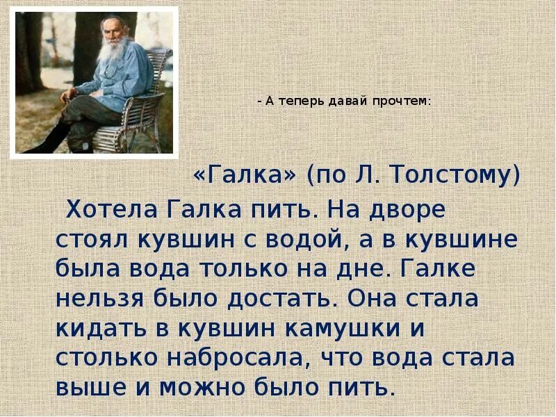 Тексты толстого 1 класс. Рассказ хотела Галка пить л.н Толстого. Рассказ л Толстого Галка и кувшин. Рассказ л Толстого хотела Галка пить текст. Чтение рассказа л Толстого хотела Галка пить.