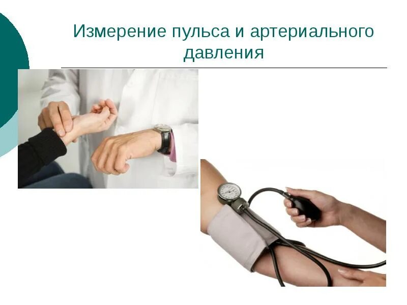 Кто использовал пульс при измерениях. Техника измерения ад, чдд, чсс.. измерение ад чдд пульса. измерение ад алгоритм. измерение пульса алгоритм.