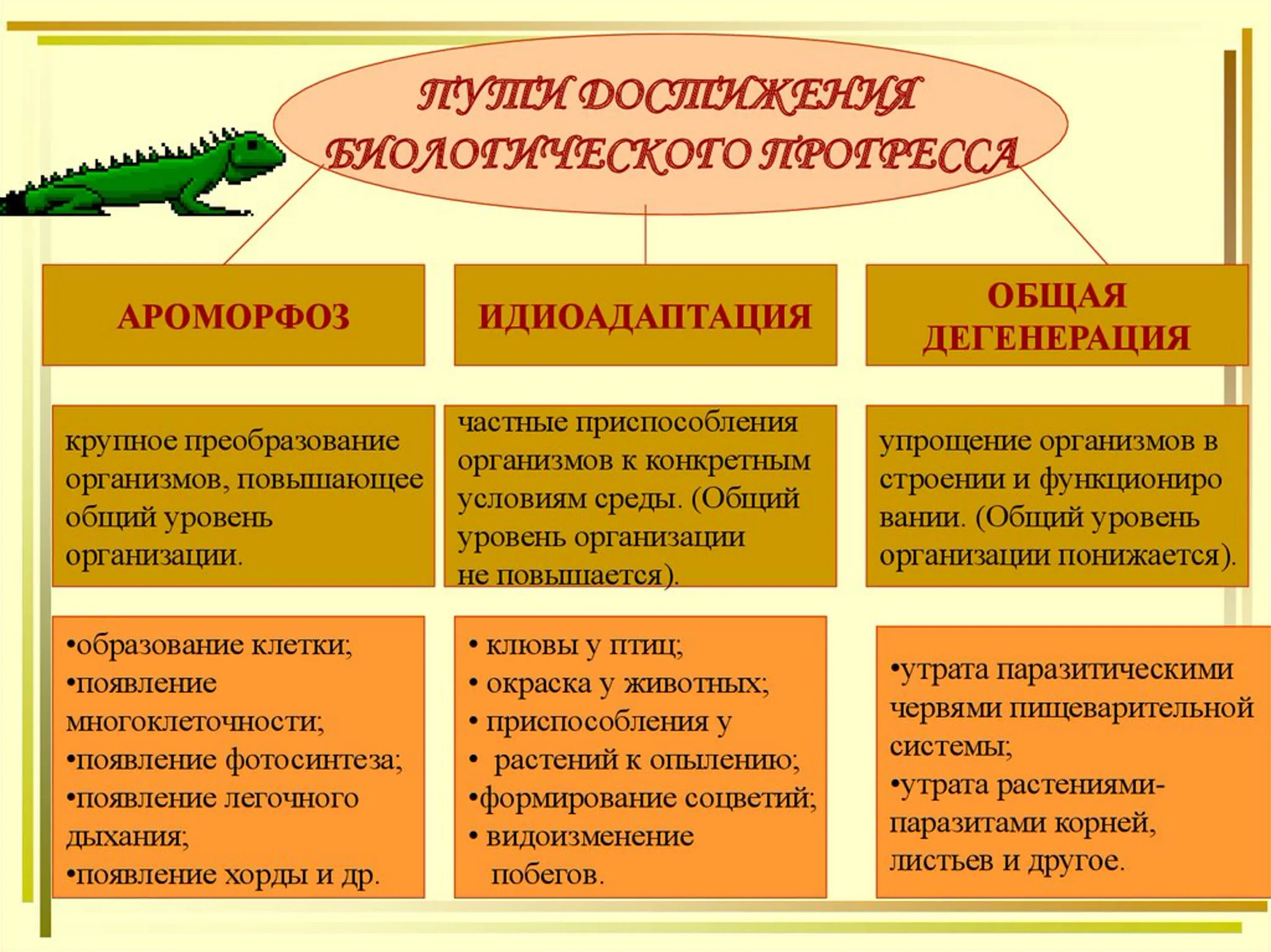 Направления эволюции ароморфоз