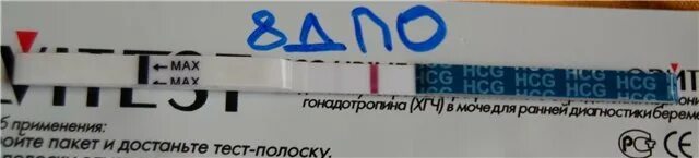 Тест на беременность утренняя моча. 8 ДПО тест. 8 ДПО тест на беременность. 7 ДПО тест. Полосатый тест на 8 ДПО.