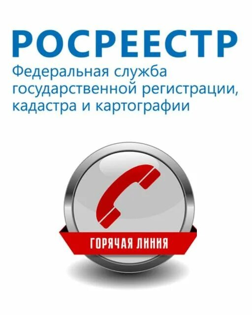 Росреестр телефон для справок. Горячая линия Росреестра. Горячая линия Росеестр. Горячие линии Росреестра. Горячая телефонная линия Росреестр.