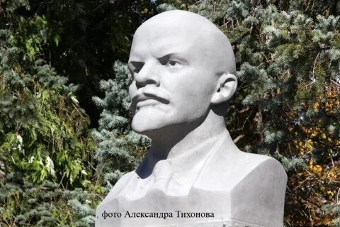 Г целин