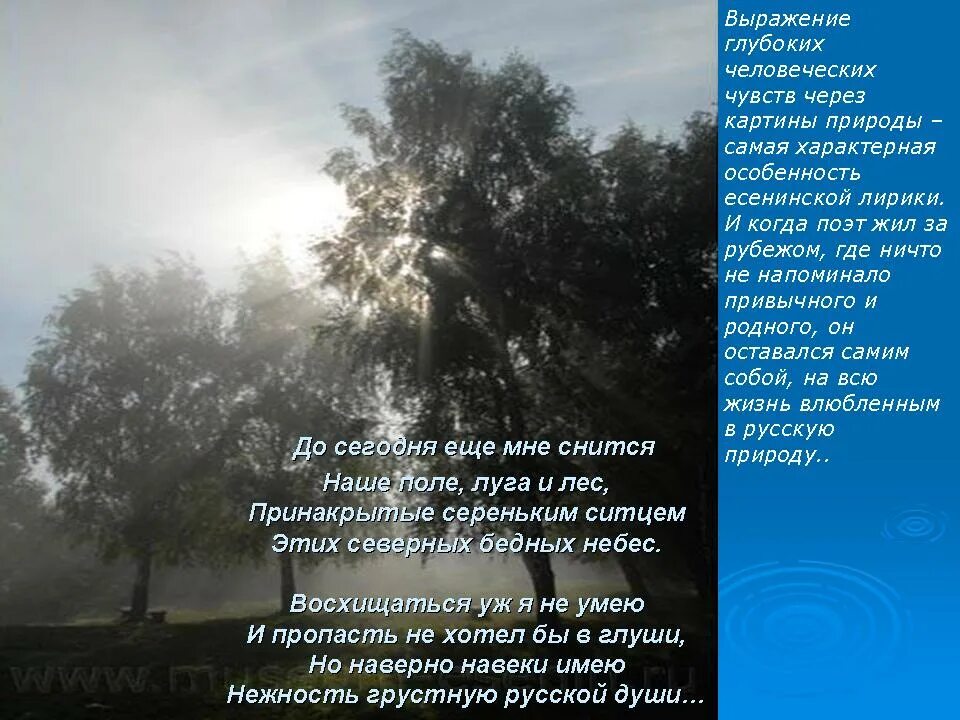 Стихотворение Есенина о природе. Стихи Есенина о природе. Стишок Есенина природа. Тема природы в стихотворениях Есенина.