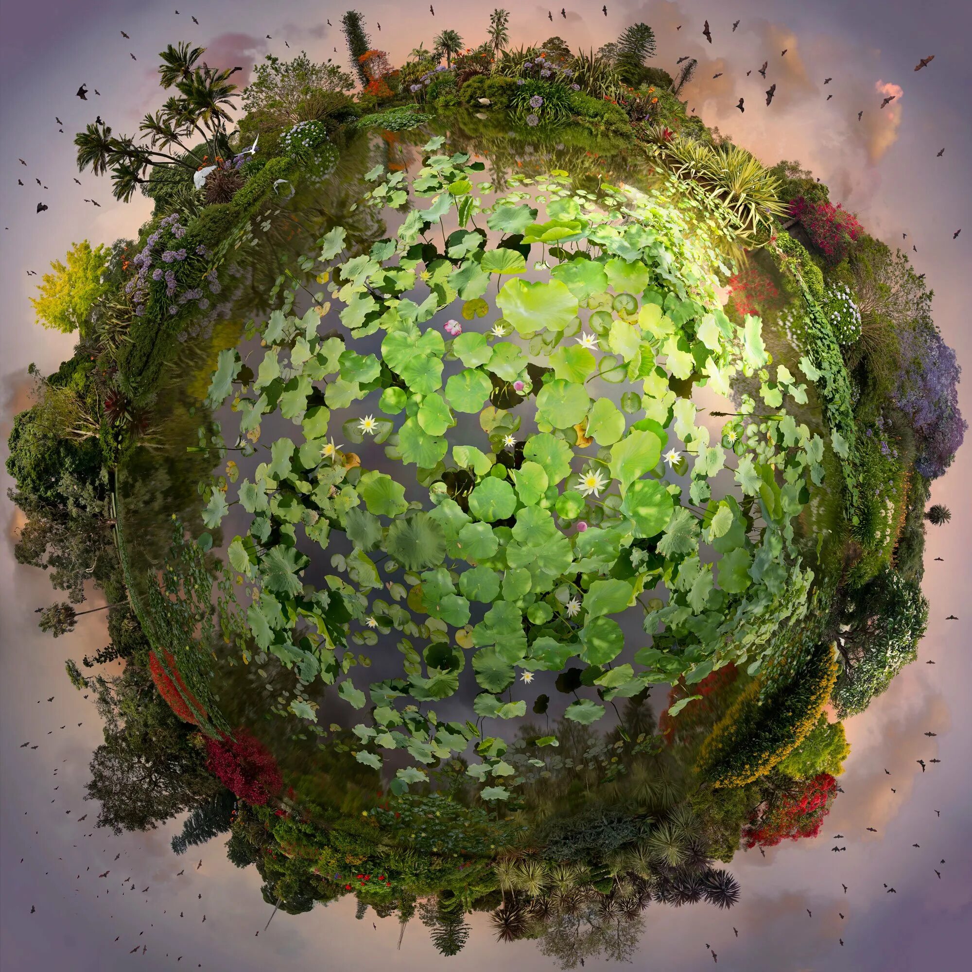 Цветная планета. Планеты Кэтрин Нельсон. Планета растений. Растения на планете земля. Растительный мир планеты.