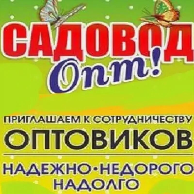 Лучшие оптовые сайты. Сайт садовод опт. Садовод опт. Сайт садовод опт. Сайт садовод опт.
