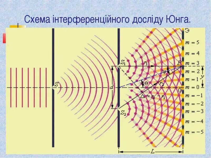 Точка юнга. Интерференция света опыт Юнга. Интерференционная схема Юнга.