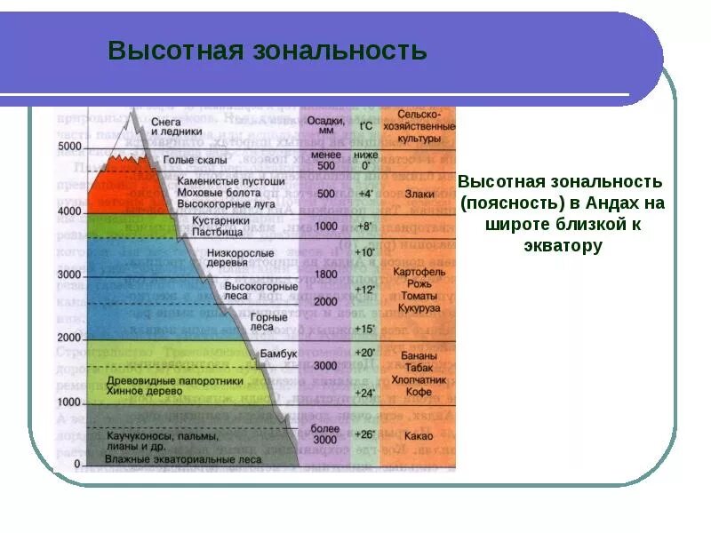 Факторы определяющие природную зональность. Зоны высотной поясности. высотная поясность у географической оболочки. высотная поясность в андах. высотная зональность.