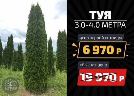 Питомник экоплант каталог с ценами москва