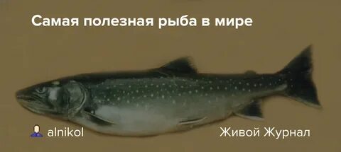 Полезная рыба для человека топ 10 самая
