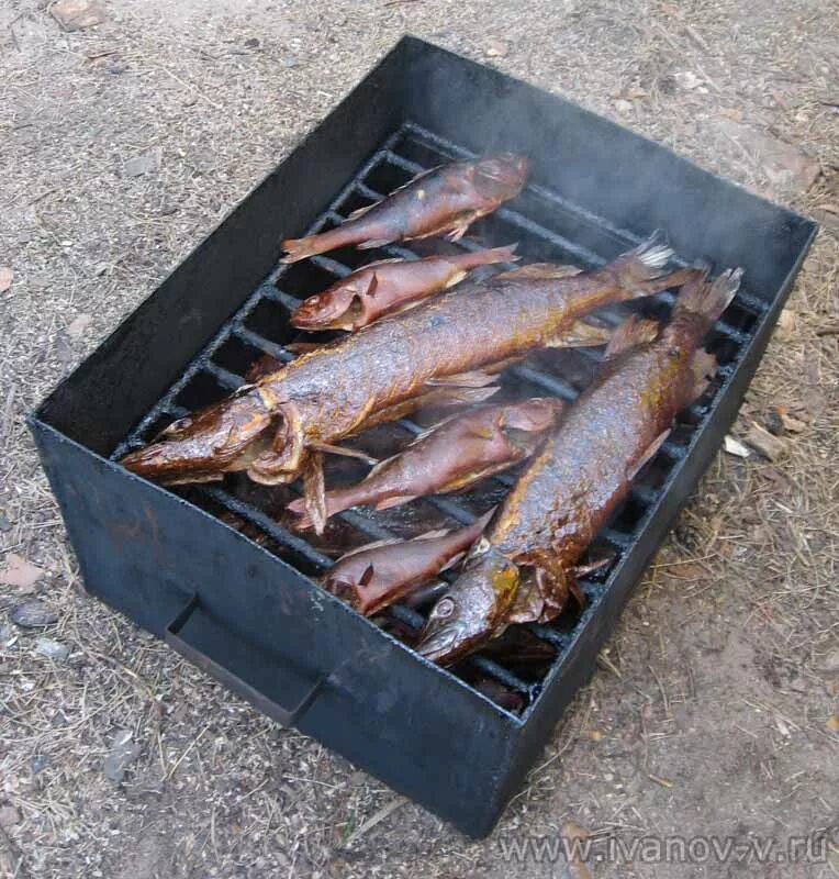 Коптильня на природе. Как закоптить рыбу. Как закоптить рыбу. Коптильня горячего копчения kohler. Как закоптить рыбу.