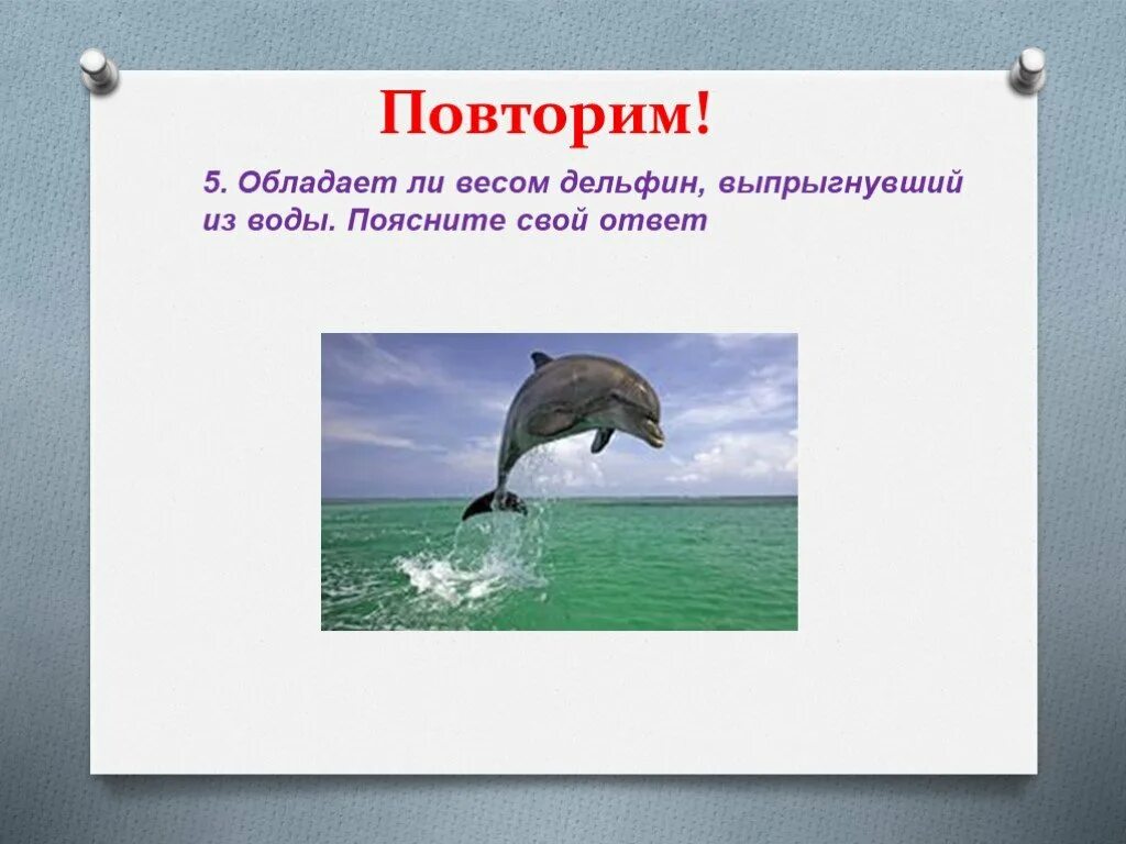 Обладает ли. Вес дельфина. Сколько весит Дельфин. Презентация Дельфин выпрыгивают из воды. Обладает ли весом Дельфин выпрыгнувший из воды поясните свой ответ.