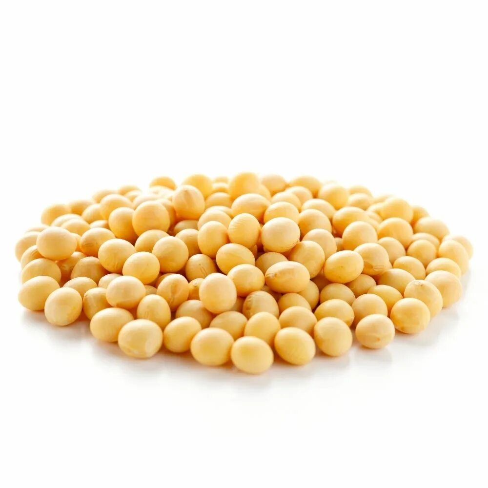 Сои 19