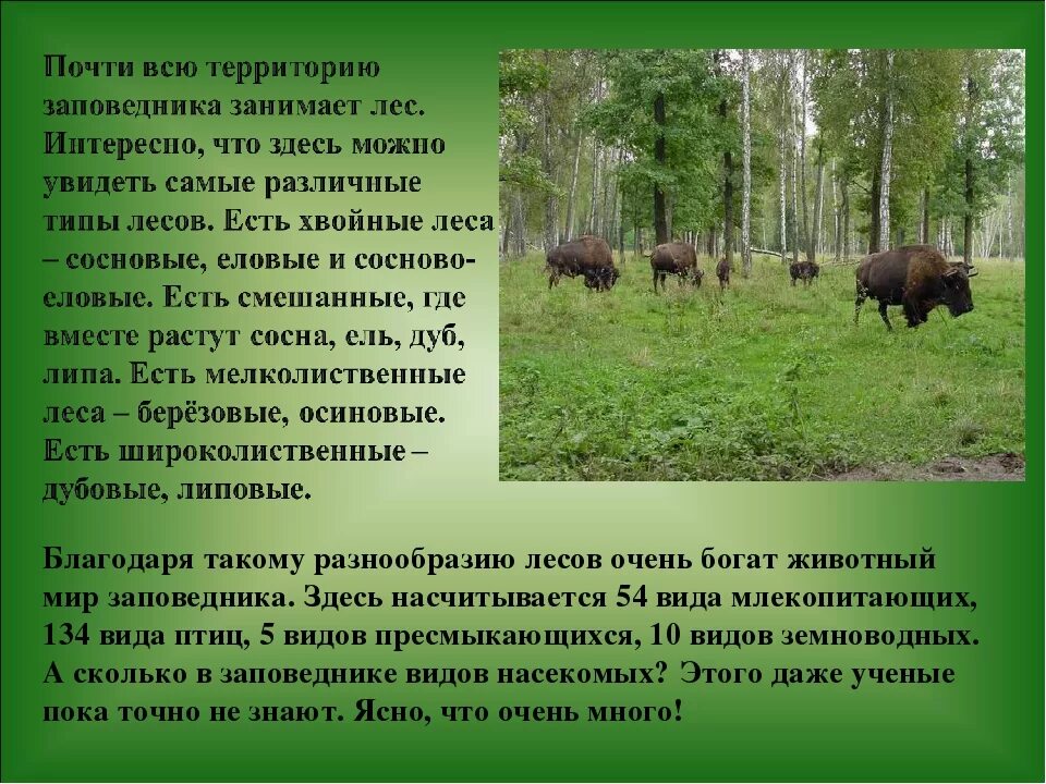 Заповедники и национальные парки. Заповедник национальный парк России. О заповедниках и национальных парках России. Национальный парк доклад. Охраняемые заповедники россии сообщение