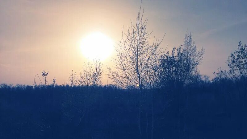 Два солнца явление. Эффект 2 солнца. Два солнца рассказ. Два солнца рассказ. Солнце фото.