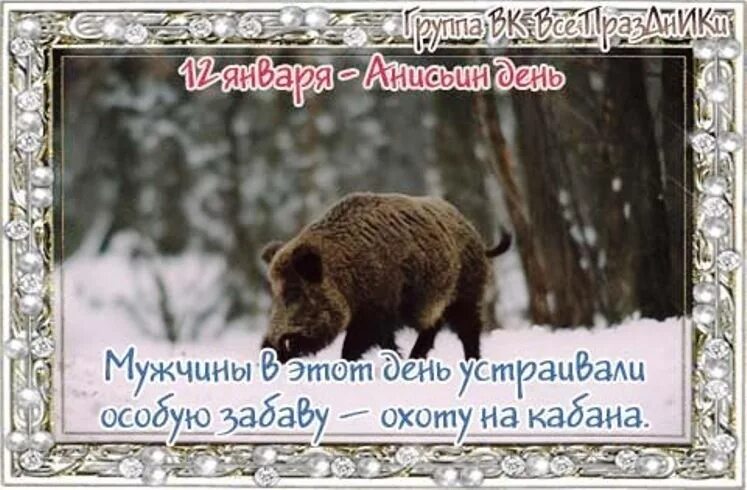 12 января праздник приметы. Анисьин день 12 января. 12 января народный календарь. анисьин день народный календарь. приметы анисьин день.