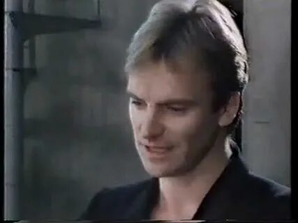 Sting dream