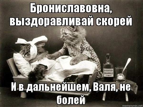 Выздоравливай мемы. Выздороветь спряжение по лицам. Выздоровит или выздоровеет. Выздоровела или выздоровила. Клиническое выздоровление это.