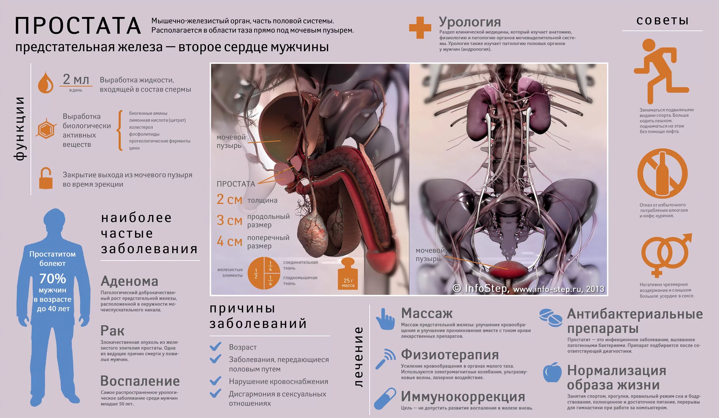Передается ли простатит. Предстательная железа у мужчин симптомы болезни. профилактика заболеваний простаты. простатит инфографика. профилактика заболеваний простаты у мужчин.