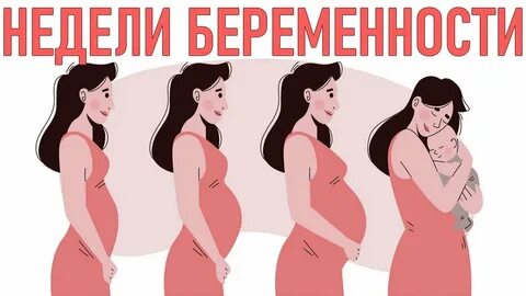 Как происходит беременность женщины с самого
