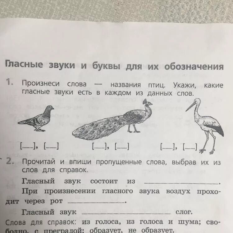 Гласные звуки. Слова на гласный звук. Произнеси слова - названия птиц. Название птиц - буквы, обозначающие гласный звук..