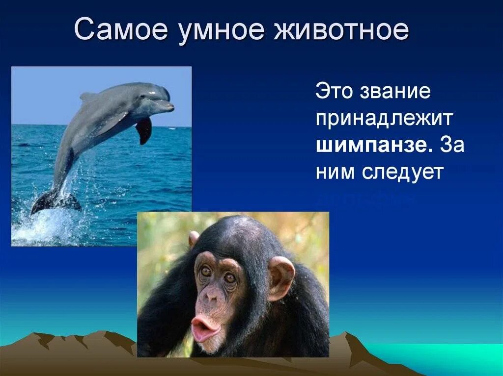 10 самых умных