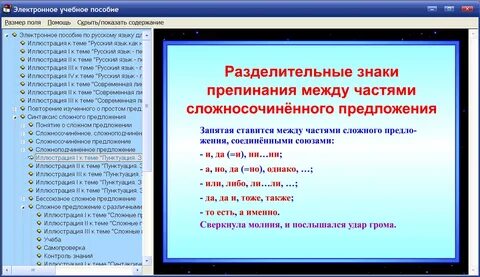 Программа спецкурса русский язык