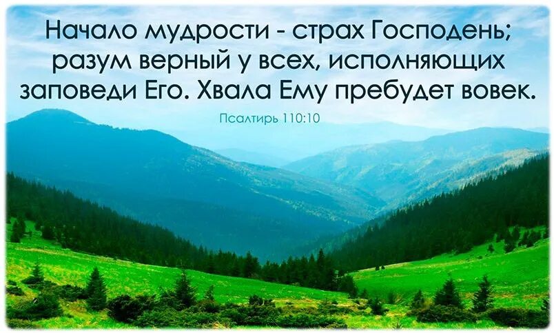 Начала мудрости 50. Мудрость страх господень. начало премудрости страх господень. страх божий начало мудрости. начало мудрости.