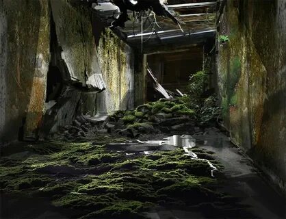 Neglected environment