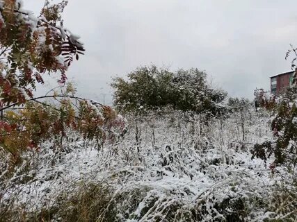 Январская жара