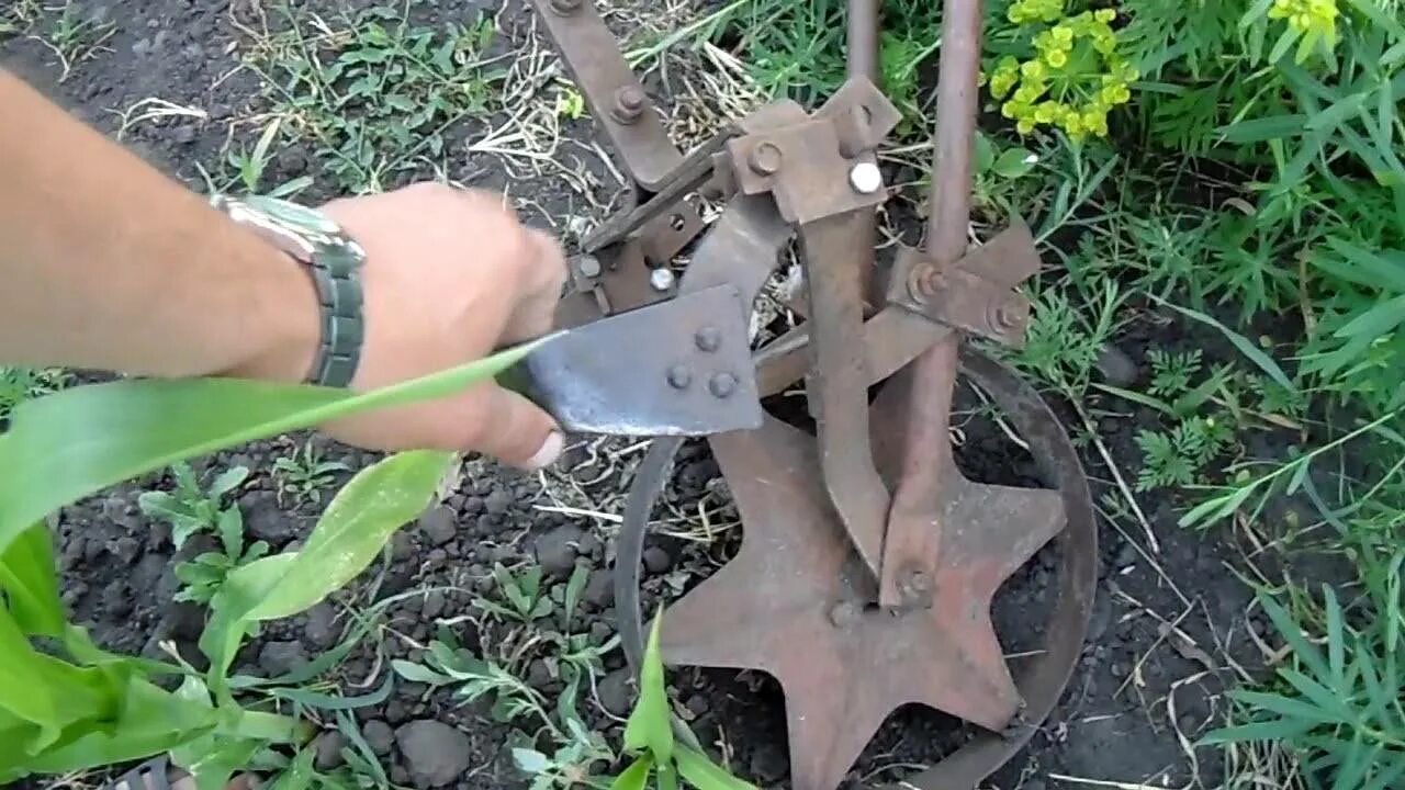 Как быстро прополоть картошку