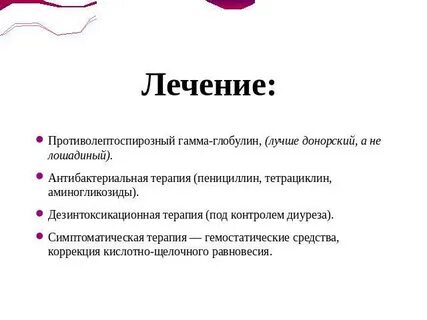 Гамма глобулин