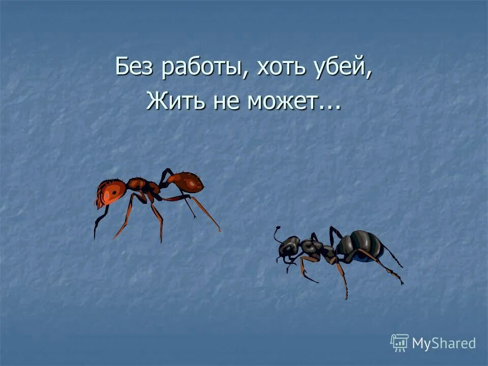 Работать хоть будет. Хоть Убей. Целый день надоедает ночь настанет тогда перестанет. Весь день летает всем надоедает. Мичелз хоть Убей.