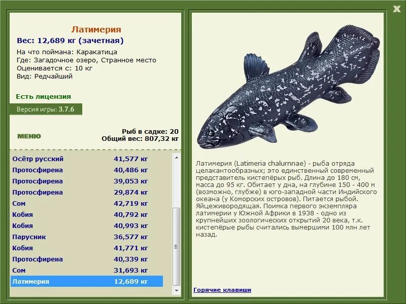 целакант рыба латимерия. латимерия двоякодышащая рыба. коморская латимерия latimeria chalumnae. латимерия рыба. древняя рыба латимерия.